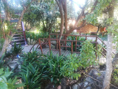 Timber And Tide Cannon Rocks Eastern Cape South Africa Palm Tree, Plant, Nature, Wood, Garden