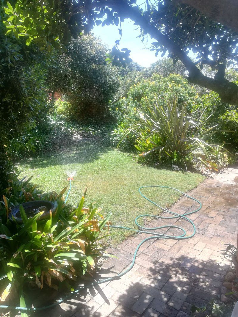 Timber And Tide Cannon Rocks Eastern Cape South Africa Palm Tree, Plant, Nature, Wood, Garden