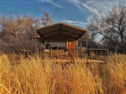 Timbila Camp Namibia, Lowland, Nature