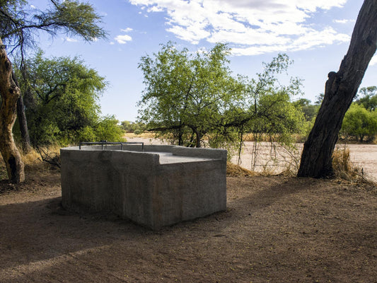 Timbila Camp Namibia, Camp Namibia Glamping Tent, Cactus, Plant, Nature, Ruin, Architecture