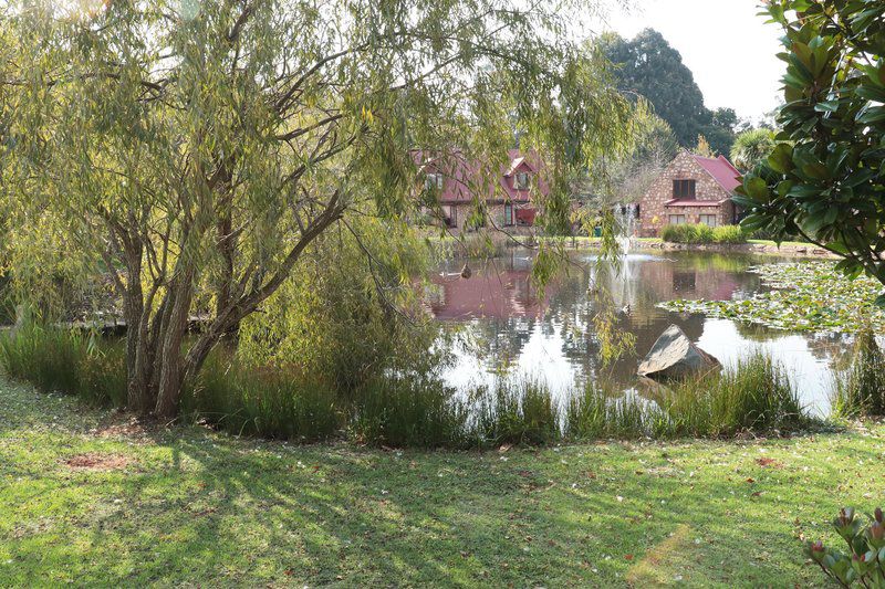 Time Cottage Dullstroom Dullstroom Mpumalanga South Africa River, Nature, Waters, Garden, Plant