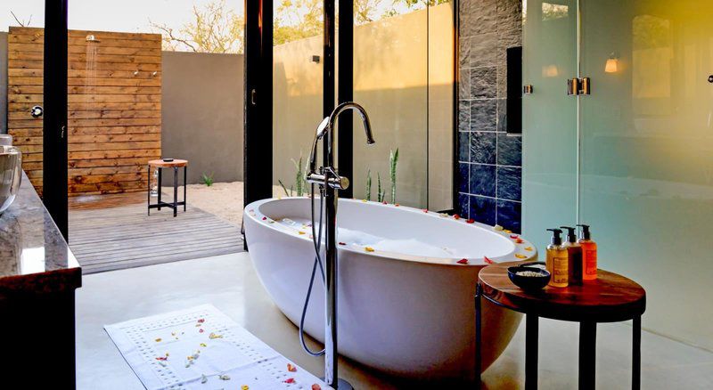 Lion Sands Tinga Lodge Skukuza Mpumalanga South Africa Bathroom, Swimming Pool