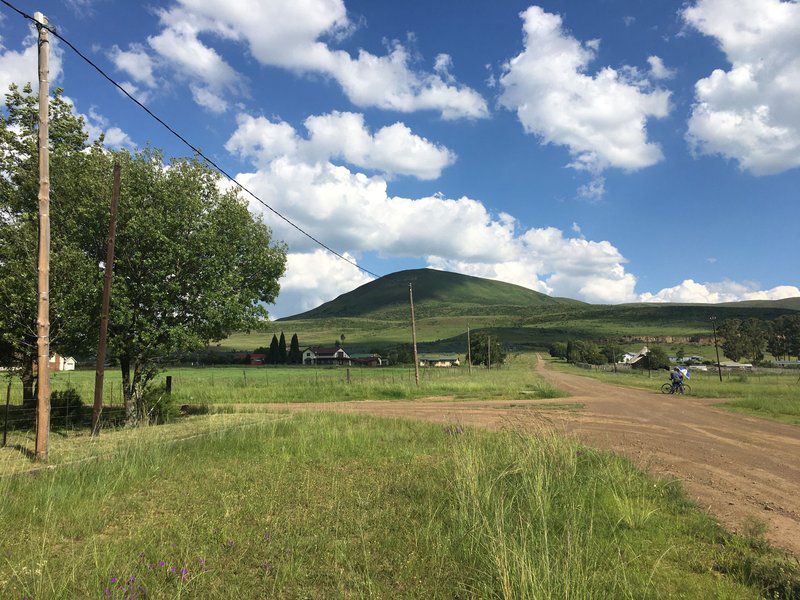 Tinkers Retreat Child And Pet Friendly Wifi Wakkerstroom Mpumalanga South Africa Complementary Colors, Field, Nature, Agriculture, Meadow, Mountain, Highland