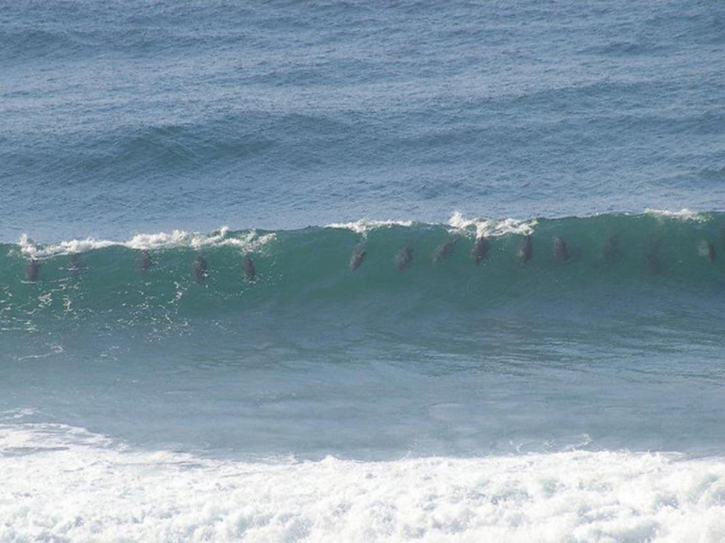 Tinley Manor Hil S Bandb Tinley Manor Kwazulu Natal South Africa Beach, Nature, Sand, Wave, Waters, Ocean, Surfing, Funsport, Sport, Water Sport