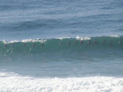 Tinley Manor Hil S Bandb Tinley Manor Kwazulu Natal South Africa Beach, Nature, Sand, Wave, Waters, Ocean, Surfing, Funsport, Sport, Water Sport