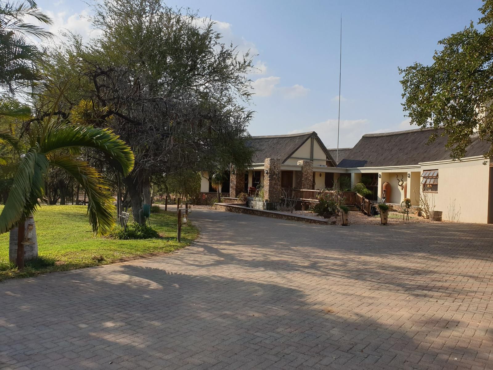 Tintshaba Safaris Phalaborwa Limpopo Province South Africa House, Building, Architecture, Palm Tree, Plant, Nature, Wood