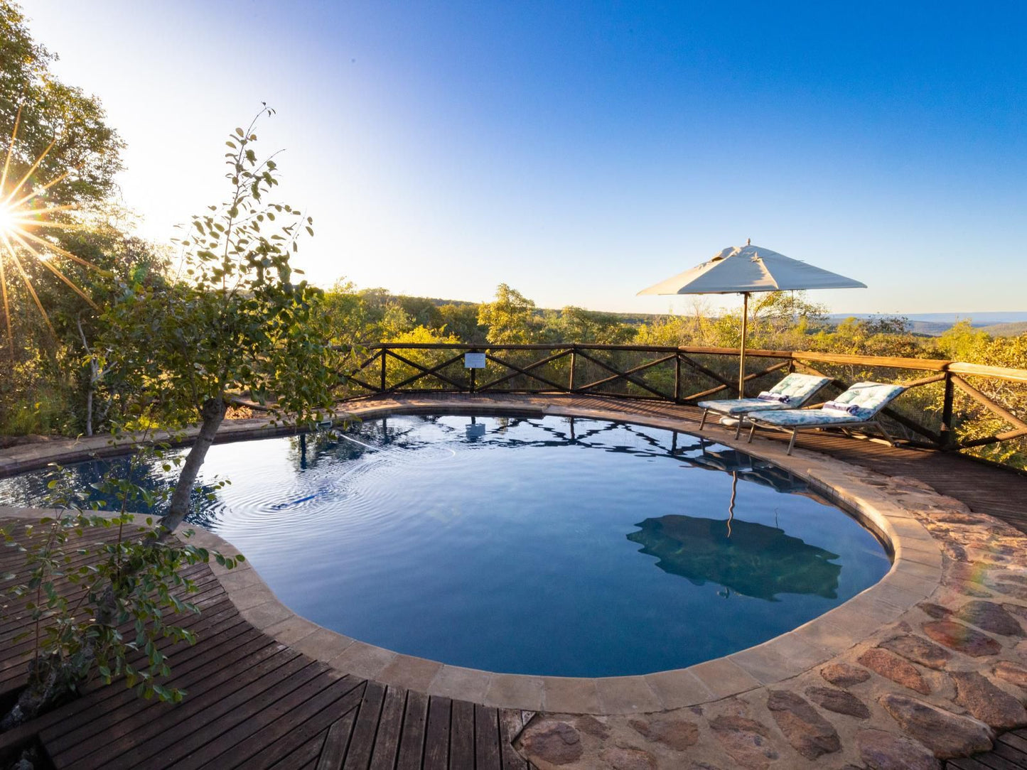 Tintswalo Family Camp Welgevonden Game Reserve Limpopo Province South Africa Swimming Pool