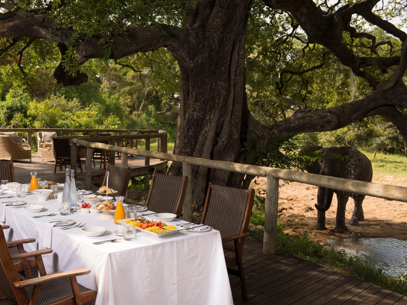 Tintswalo Safari Lodge Manyeleti Reserve Mpumalanga South Africa Restaurant, Food