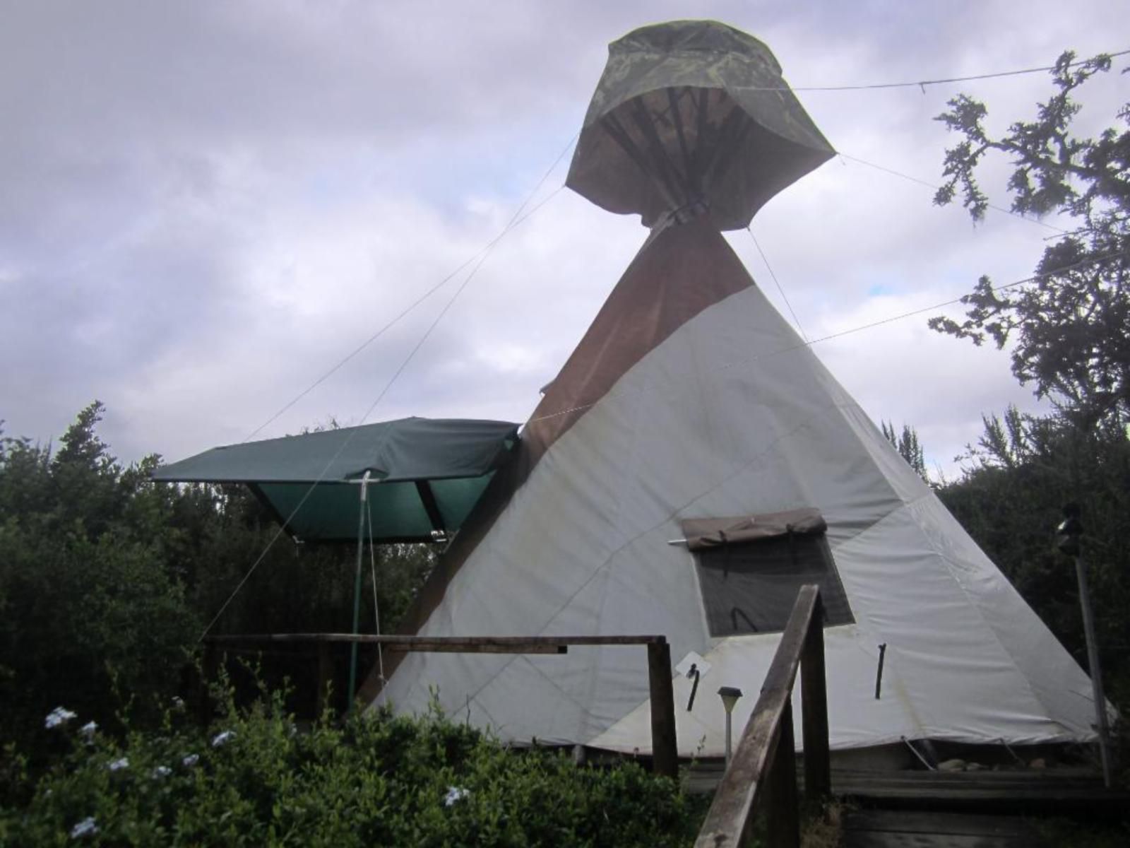 Tipi Bush Camp, Tent, Architecture