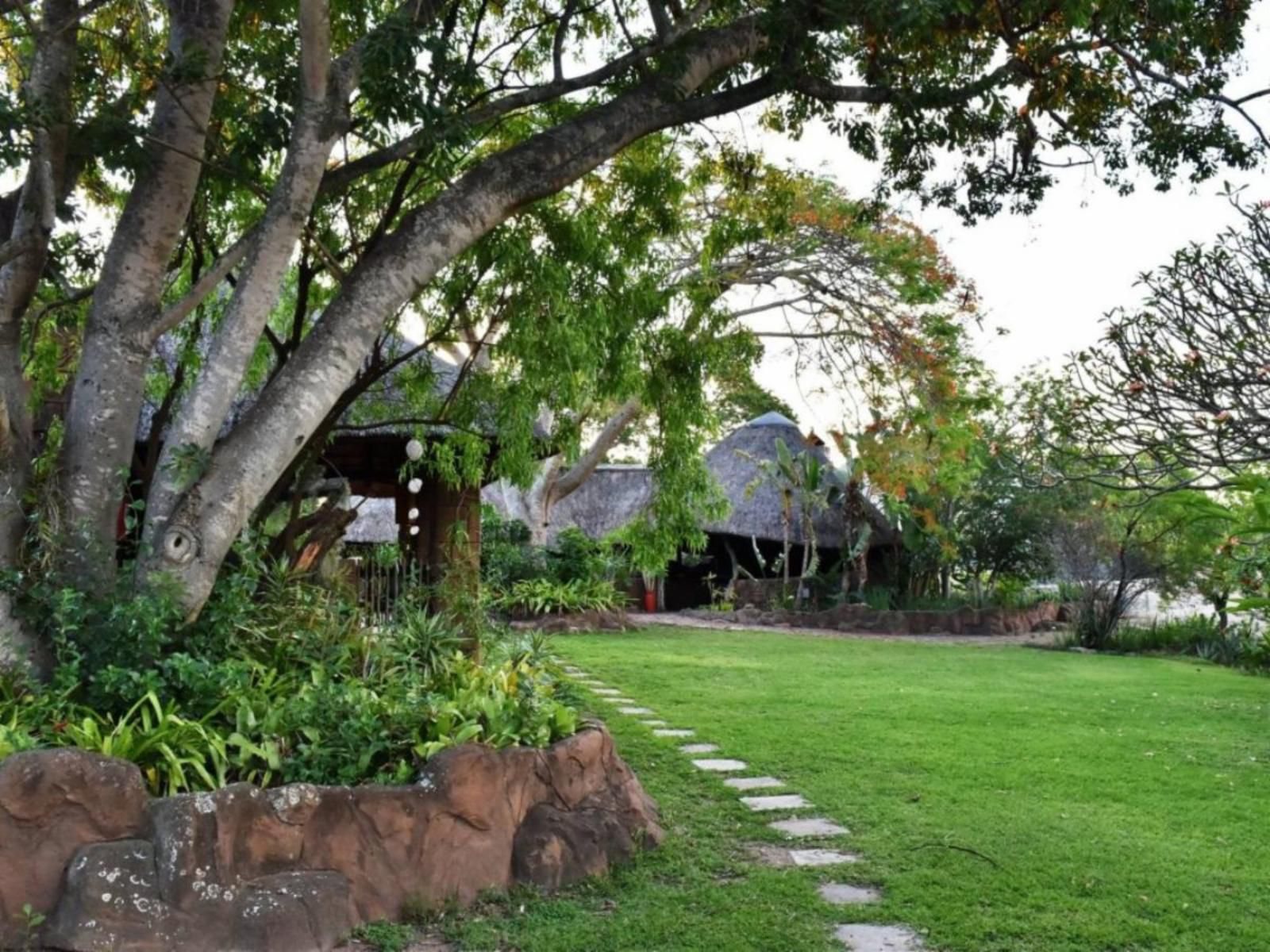 Tipperary Game Lodge Nelspruit Mpumalanga South Africa Palm Tree, Plant, Nature, Wood