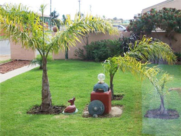 Tirzah S Bandb And Self Catering Bredasdorp Western Cape South Africa Palm Tree, Plant, Nature, Wood, Garden