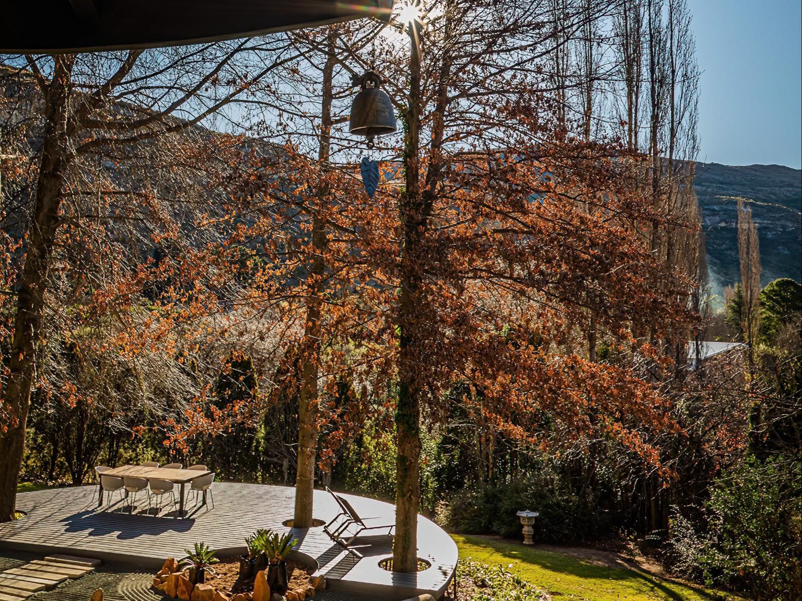 Titanic View - Place Of Peace, Plant, Nature, Tree, Wood, Autumn, Garden