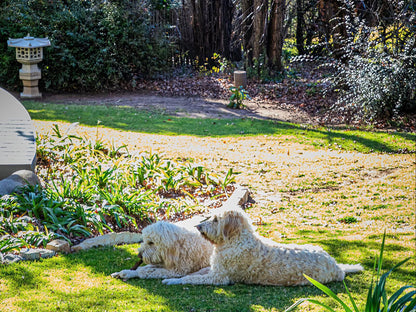 Titanic View - Place Of Peace, Animal, Garden, Nature, Plant