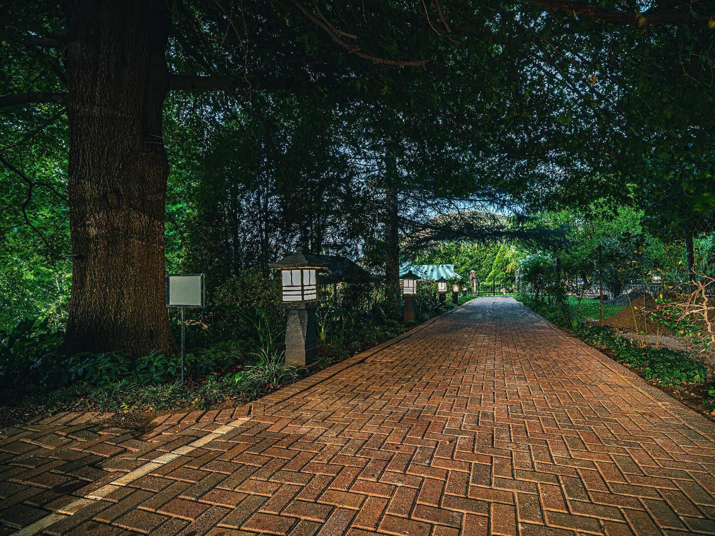 Titanic View - Place Of Peace, Street