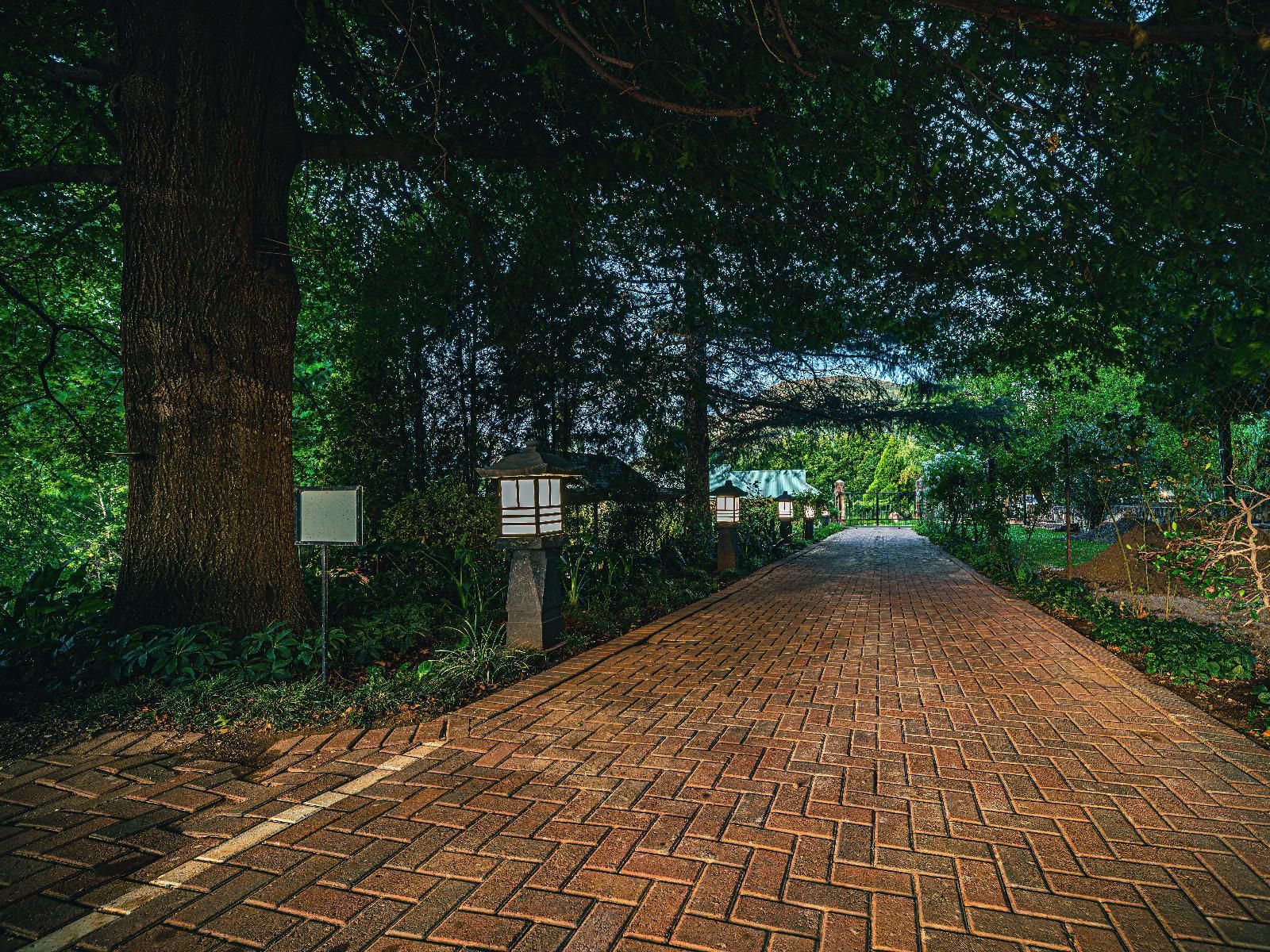 Titanic View - Place Of Peace, Street