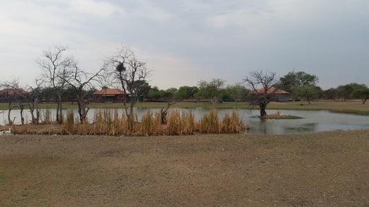 Tivan Safaris Tom Burke Limpopo Province South Africa River, Nature, Waters