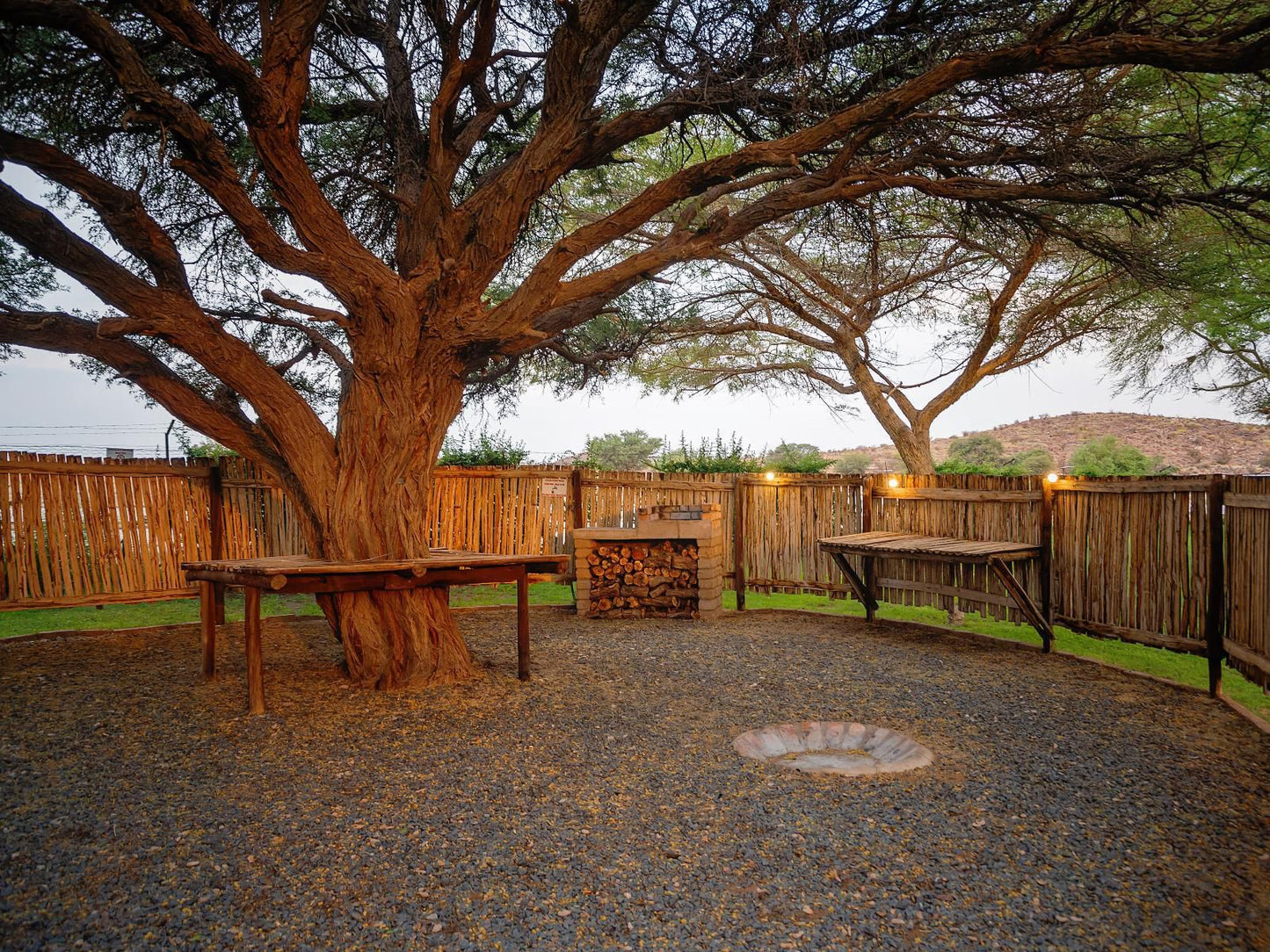Tkabies Camping And Self Catering Keimoes Northern Cape South Africa Plant, Nature