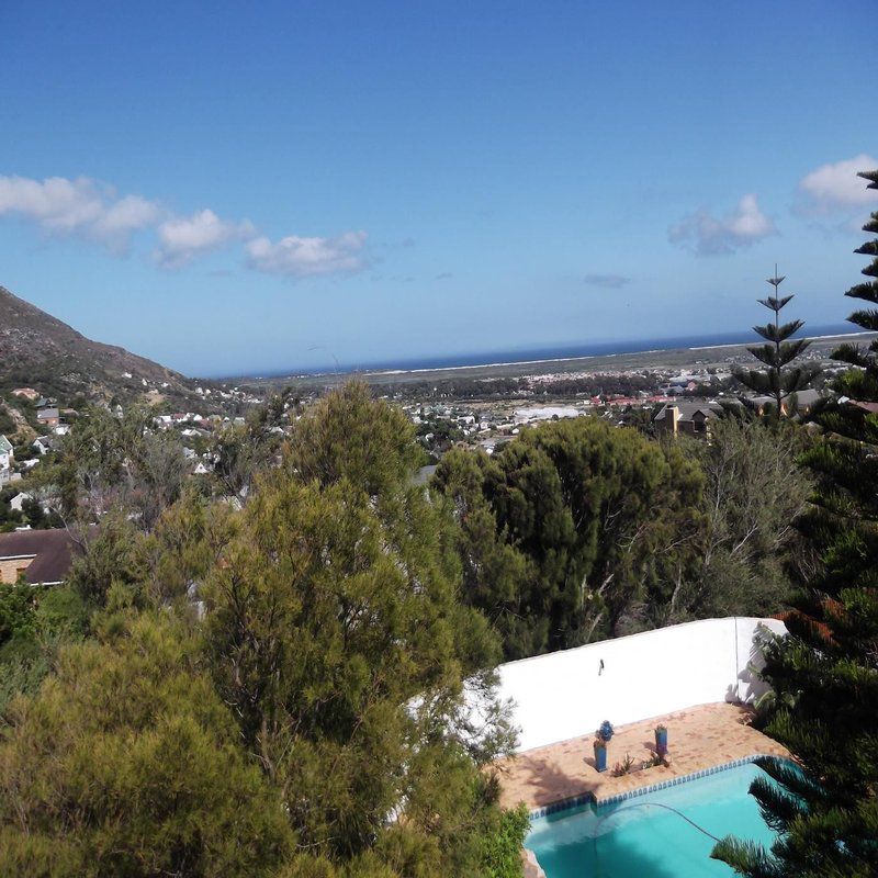 Tobago Heights Apartment Capri Village Cape Town Western Cape South Africa Complementary Colors, Palm Tree, Plant, Nature, Wood, Swimming Pool