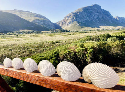 Tobie Sea And Mountain Views Bettys Bay Western Cape South Africa Complementary Colors, Basket, Mountain, Nature, Ball Game, Sport, Highland, Sauna, Wood