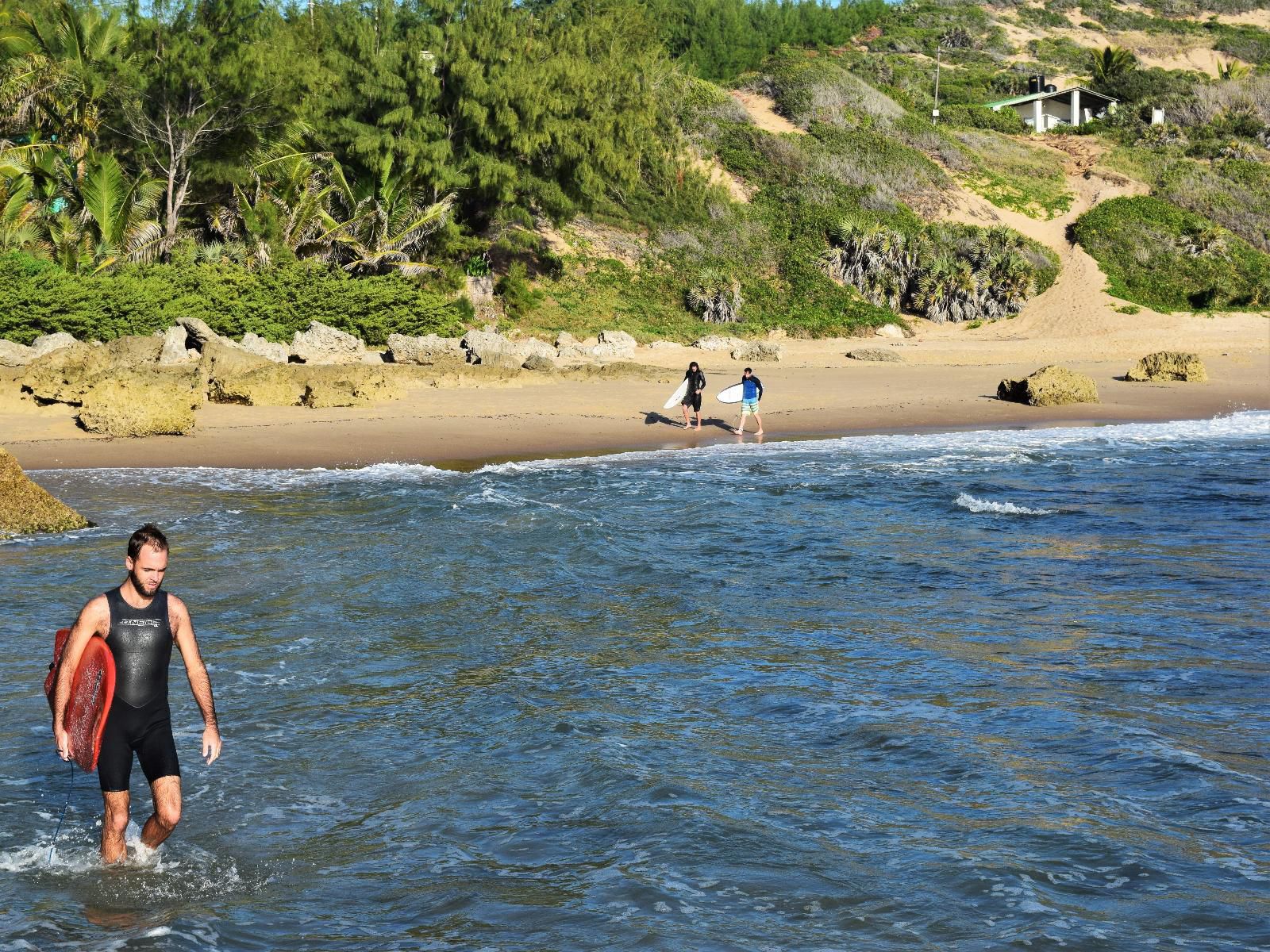 Tofinho Beach Cottages, Face, Person, One Face, Beach, Nature, Sand, Surfboard, Water Sport, Sport, Frontal Face