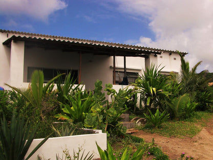 Tofinho Beach Cottages, House, Building, Architecture, Palm Tree, Plant, Nature, Wood