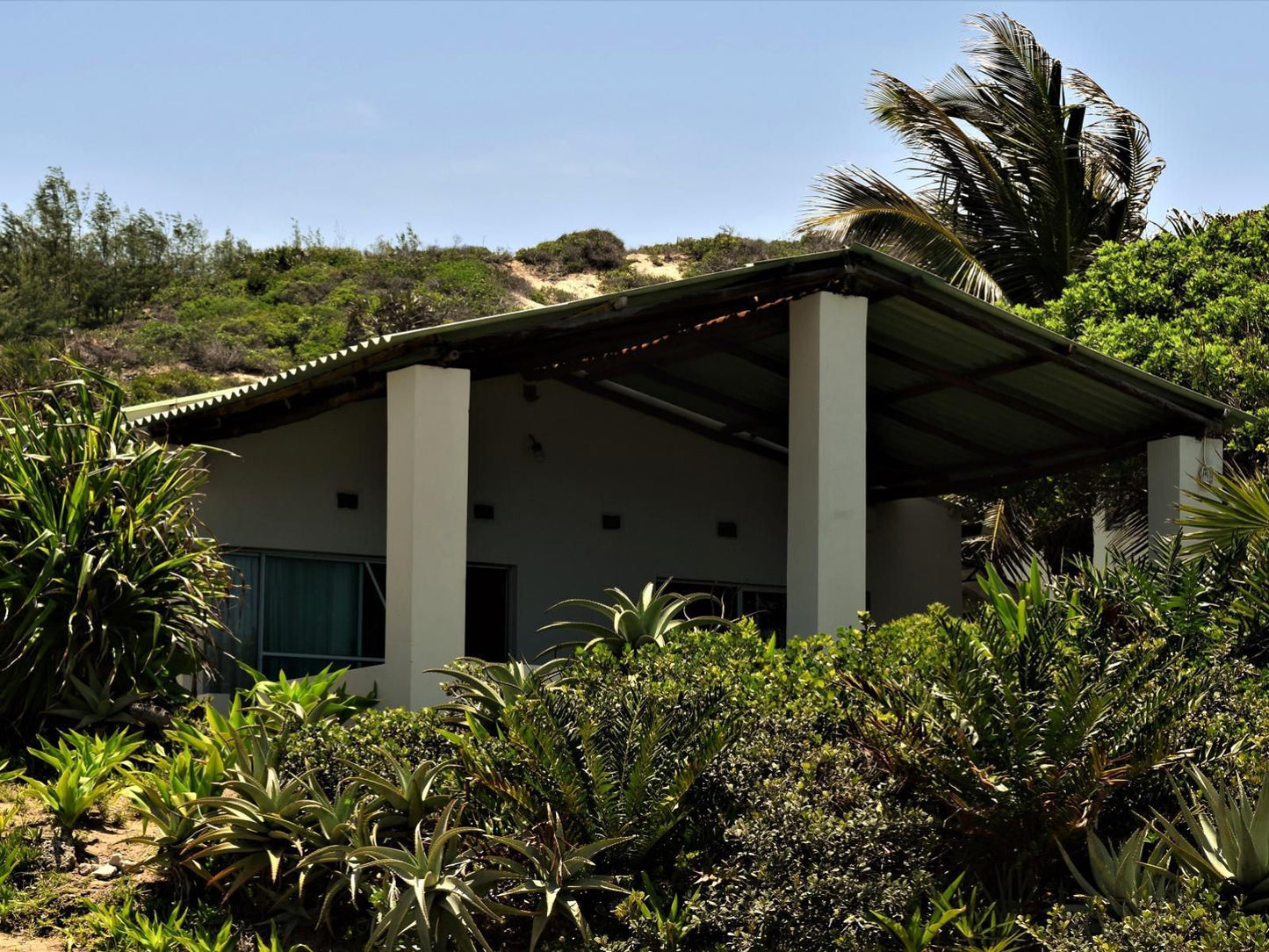 Tofinho Beach Cottages, House, Building, Architecture, Palm Tree, Plant, Nature, Wood