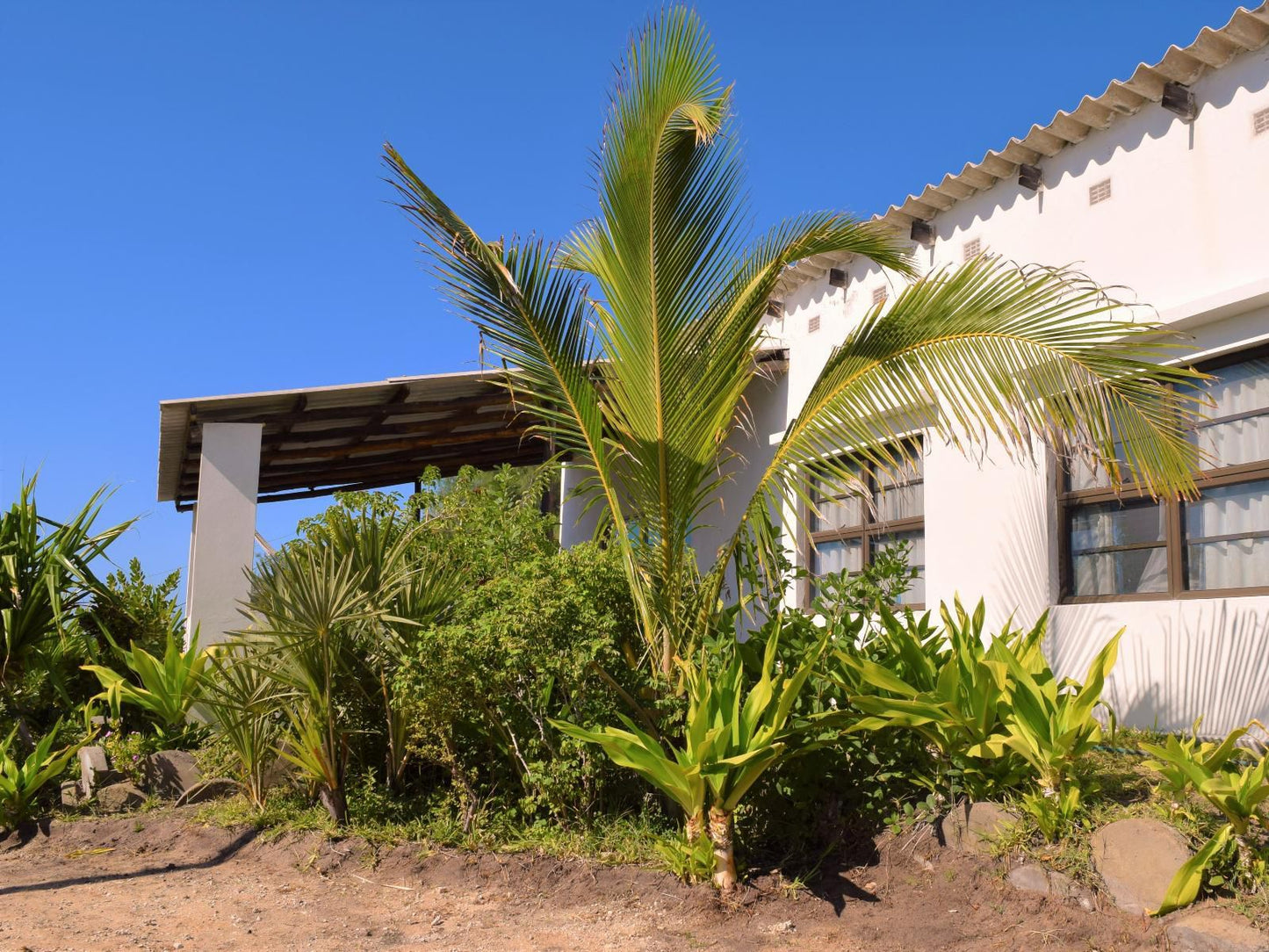 Tofinho Beach Cottages, Self-catering Cottage - Casa Gideon, House, Building, Architecture, Palm Tree, Plant, Nature, Wood