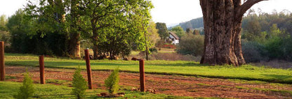 Toi Home In Da Hills Haenertsburg Limpopo Province South Africa Field, Nature, Agriculture