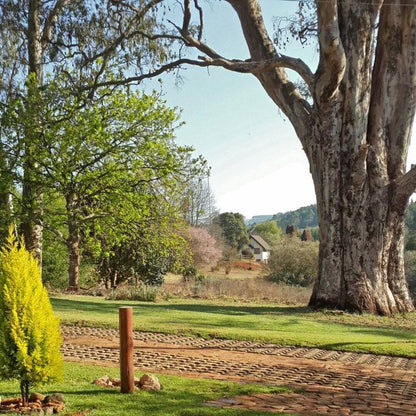 Toi Home In Da Hills Haenertsburg Limpopo Province South Africa Plant, Nature, Tree, Wood, Garden