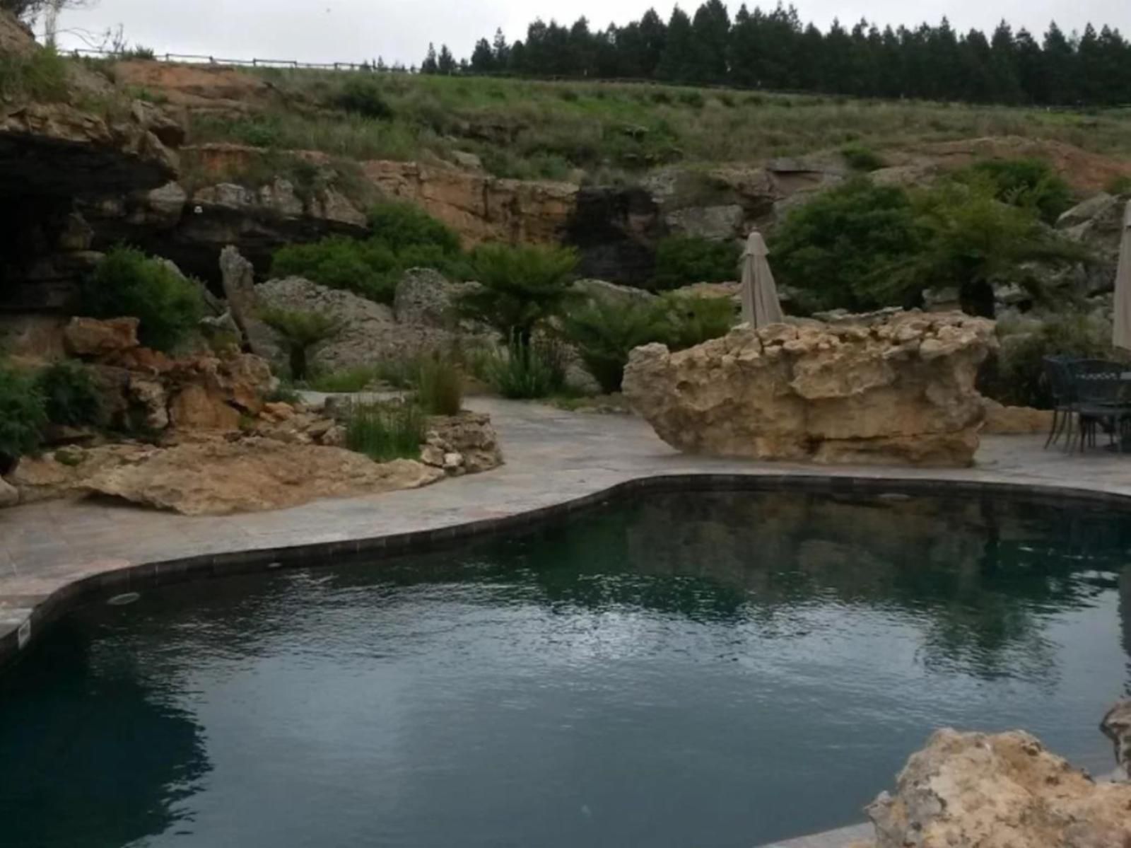 Tolderia Resort Ermelo Mpumalanga South Africa Nature, Swimming Pool