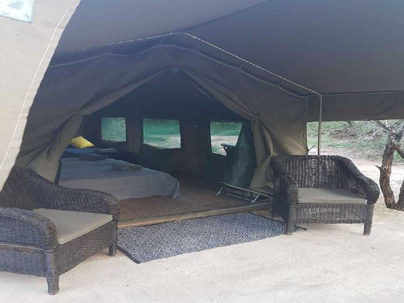Tonetti Game Farm Louw S Creek Mpumalanga South Africa Unsaturated, Tent, Architecture, Bedroom