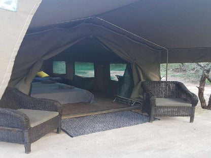 Tonetti Game Farm Louw S Creek Mpumalanga South Africa Unsaturated, Tent, Architecture, Bedroom