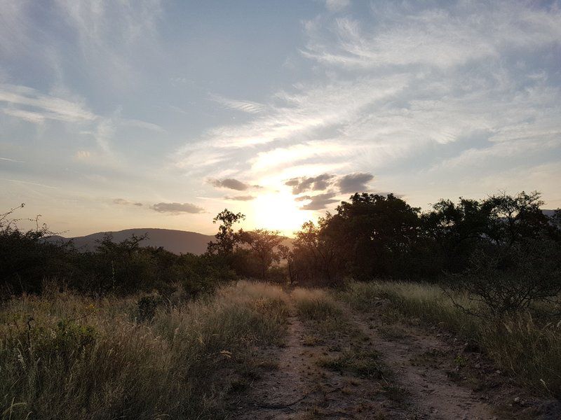 Tonetti Game Farm Louw S Creek Mpumalanga South Africa Sky, Nature, Desert, Sand, Sunset