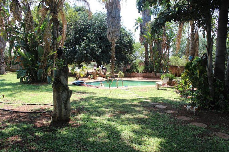 Tony S Place Tolwe Limpopo Province South Africa Palm Tree, Plant, Nature, Wood, Garden