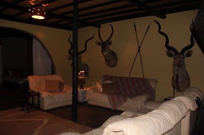 Tony S Place Tolwe Limpopo Province South Africa Bedroom