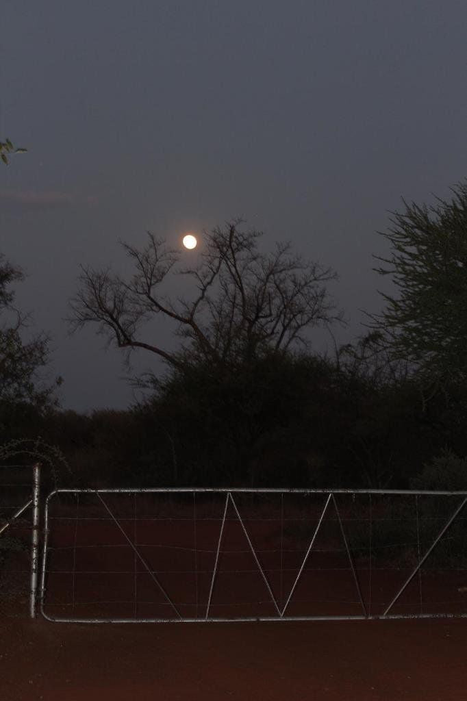 Tony S Place Tolwe Limpopo Province South Africa Moon, Nature