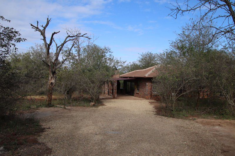 Tora Rona Marloth Park Mpumalanga South Africa 