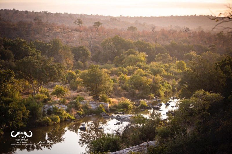 Toro River Lodges Makalali Private Game Reserve Mpumalanga South Africa River, Nature, Waters