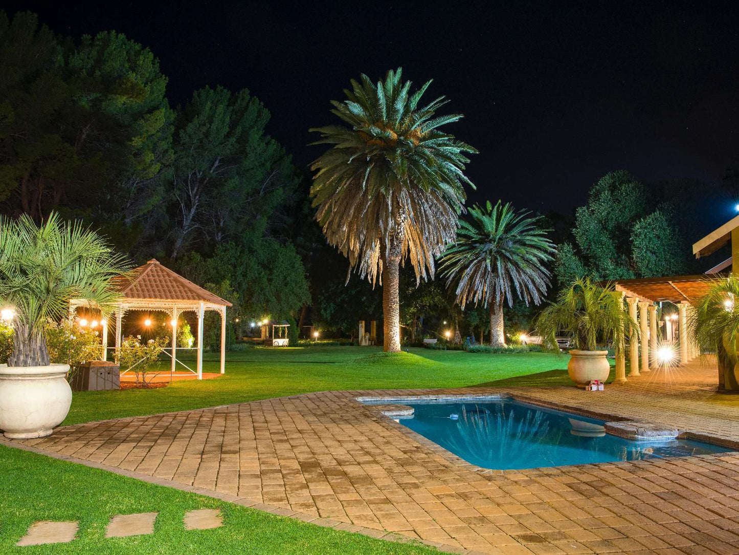 Toscana Estate Spitskop Bloemfontein Free State South Africa Palm Tree, Plant, Nature, Wood, Swimming Pool