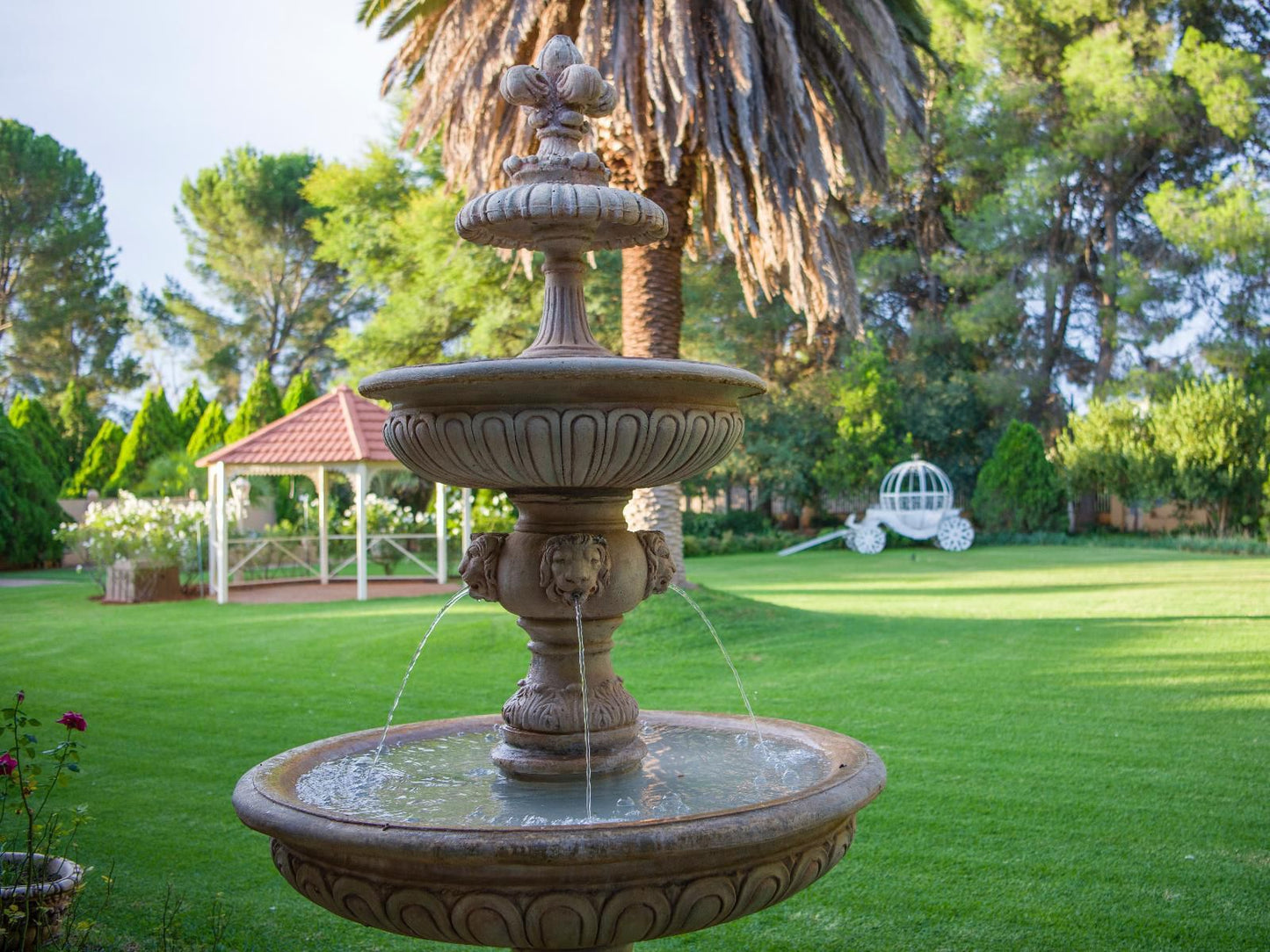 Toscana Estate Spitskop Bloemfontein Free State South Africa Fountain, Architecture, Palm Tree, Plant, Nature, Wood, Garden