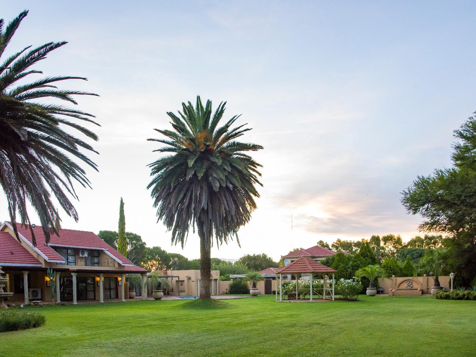 Toscana Estate Spitskop Bloemfontein Free State South Africa Complementary Colors, Palm Tree, Plant, Nature, Wood