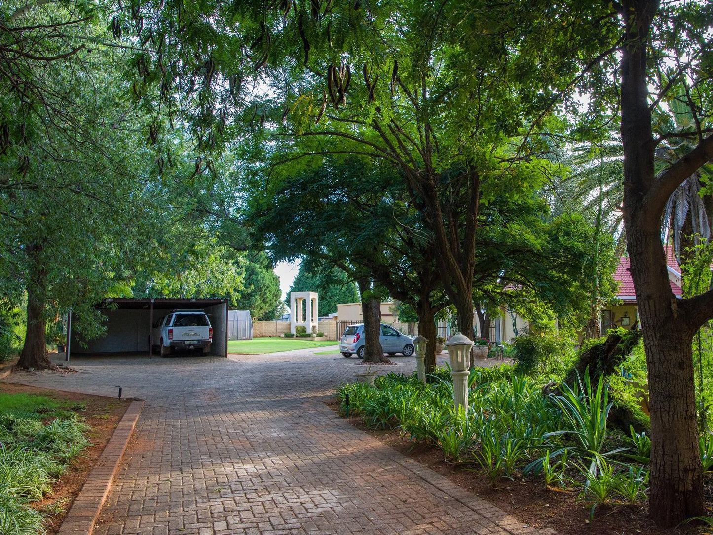 Toscana Estate Spitskop Bloemfontein Free State South Africa Palm Tree, Plant, Nature, Wood, Tree, Garden, Street