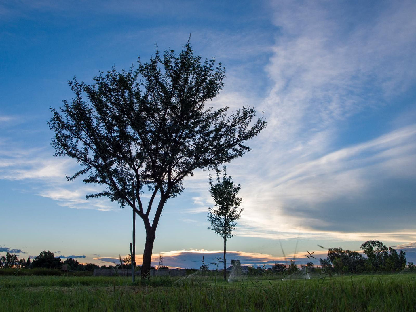 Toscana Estate Spitskop Bloemfontein Free State South Africa Sky, Nature, Lowland