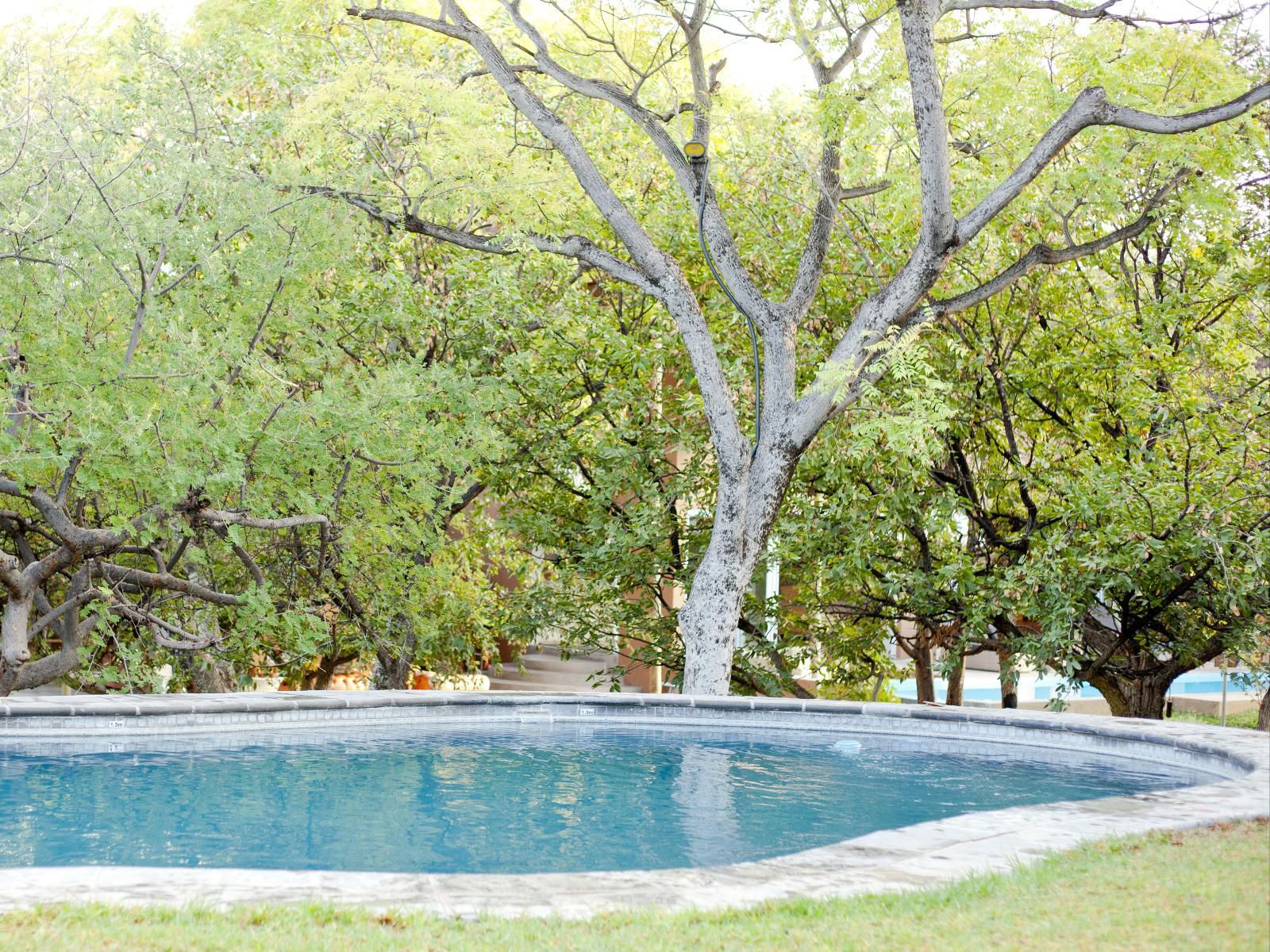 Toshari Lodge, Tree, Plant, Nature, Wood, Garden, Swimming Pool