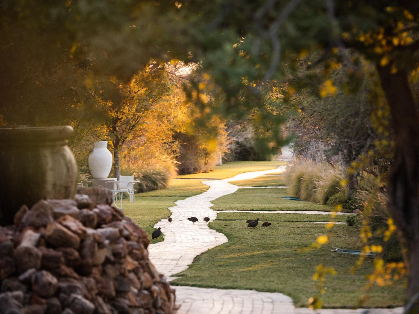 Toshari Lodge, Plant, Nature, Autumn, Garden