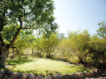 Toshari Lodge, Camp site, Plant, Nature, Tree, Wood