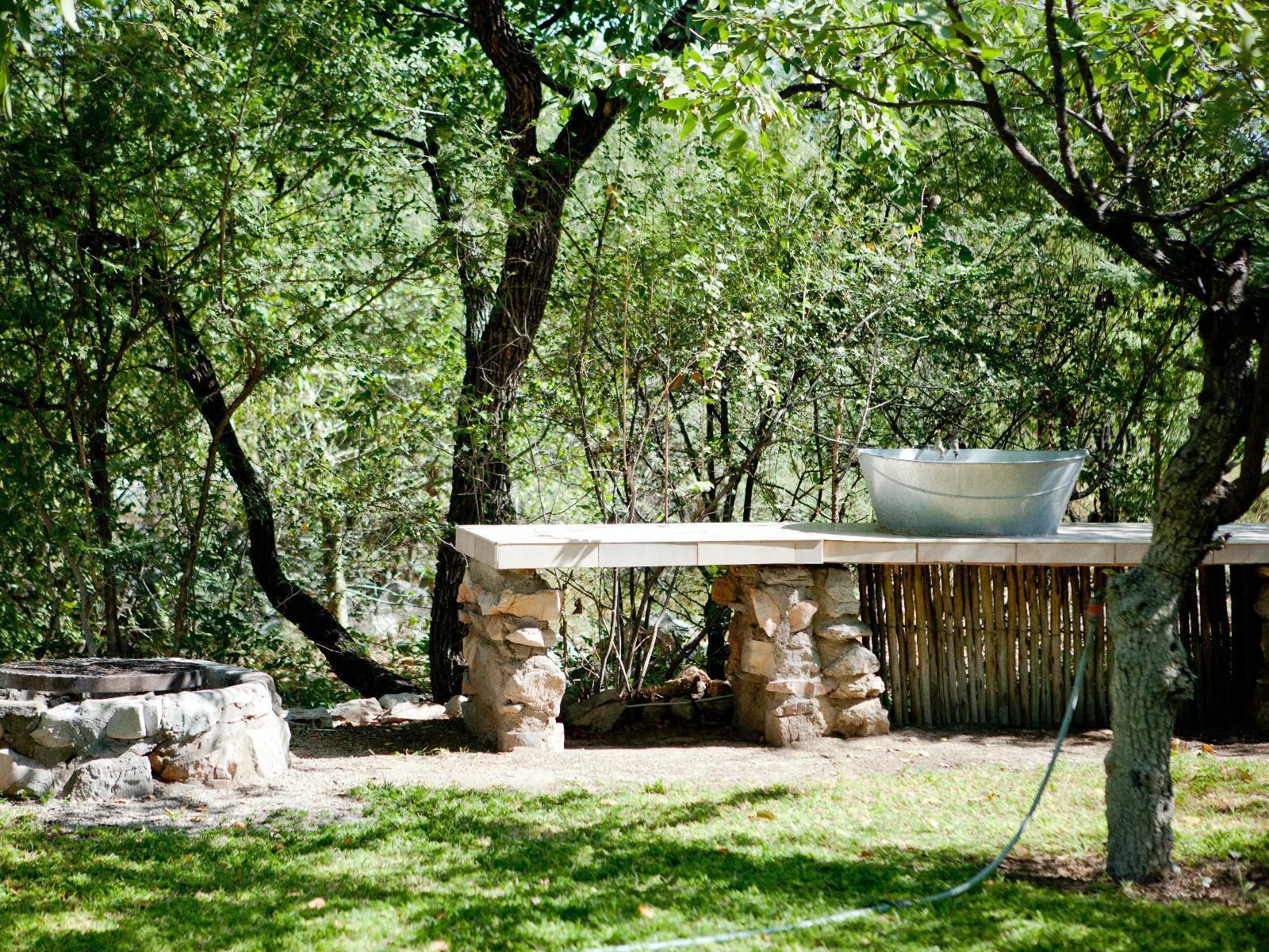 Toshari Lodge, Luxury Twin, Tree, Plant, Nature, Wood, Garden