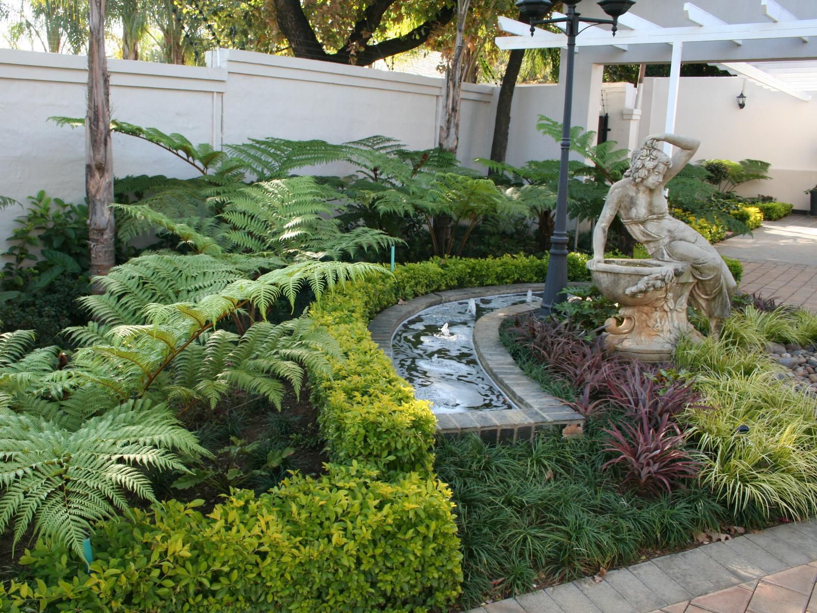 Touch Of Class Villas Baileys Muckleneuk Pretoria Tshwane Gauteng South Africa Palm Tree, Plant, Nature, Wood, Garden