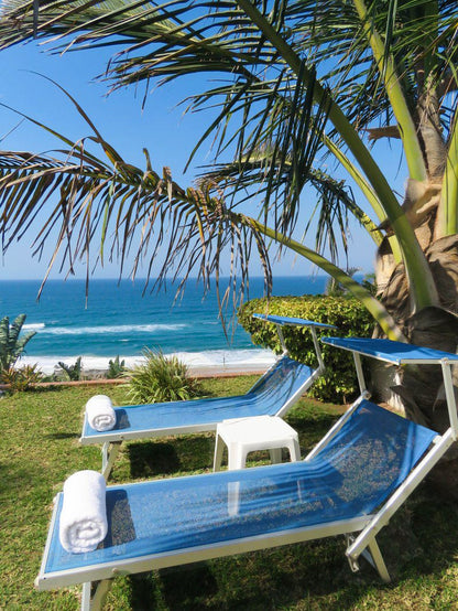 Tradewinds Lodge Amanzimtoti Kwazulu Natal South Africa Complementary Colors, Beach, Nature, Sand, Palm Tree, Plant, Wood