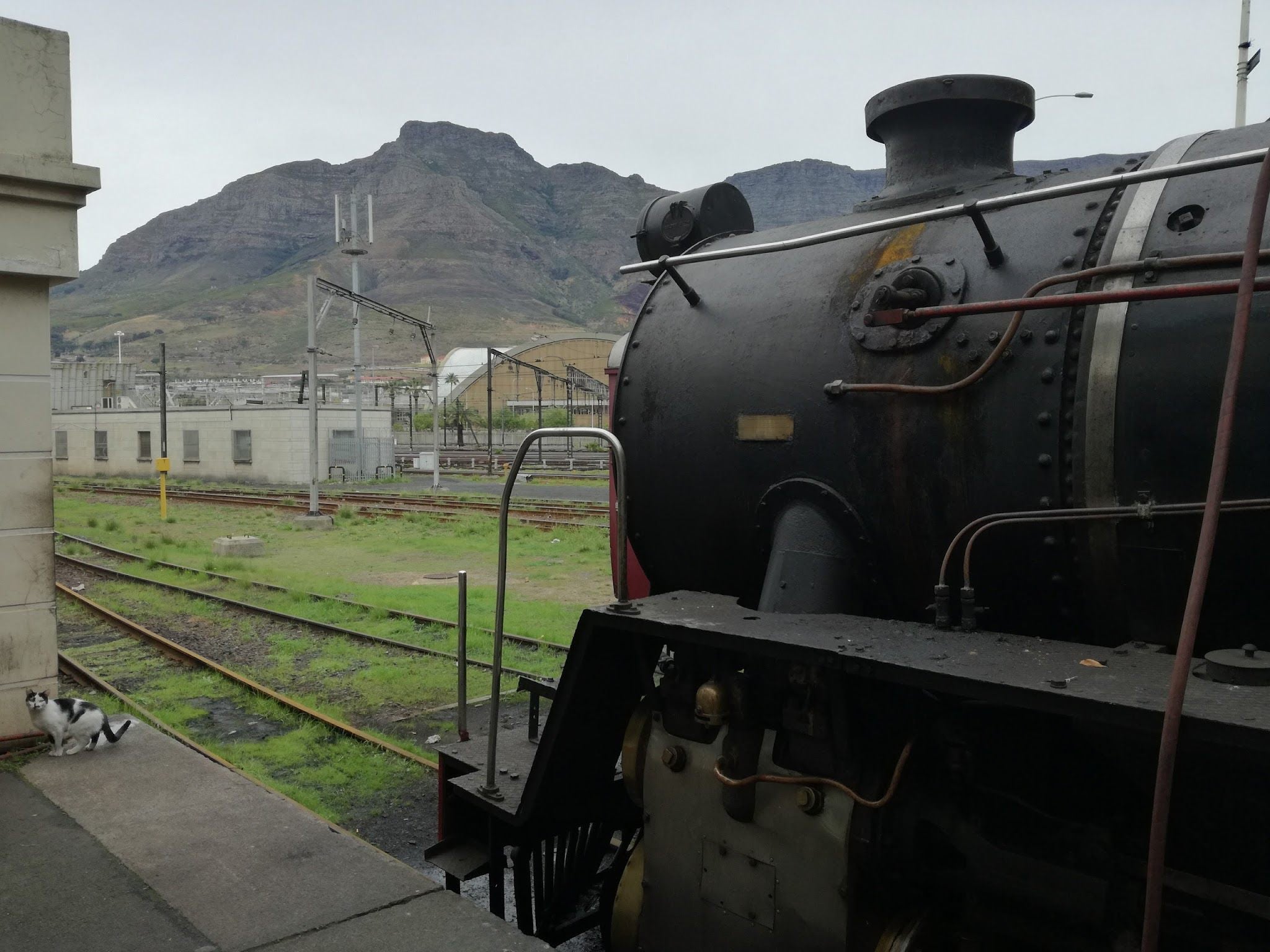 Train Lodge Cape Town City Centre Cape Town Western Cape South Africa Unsaturated, Train, Vehicle, Mountain, Nature, Railroad, Steam Train, Highland